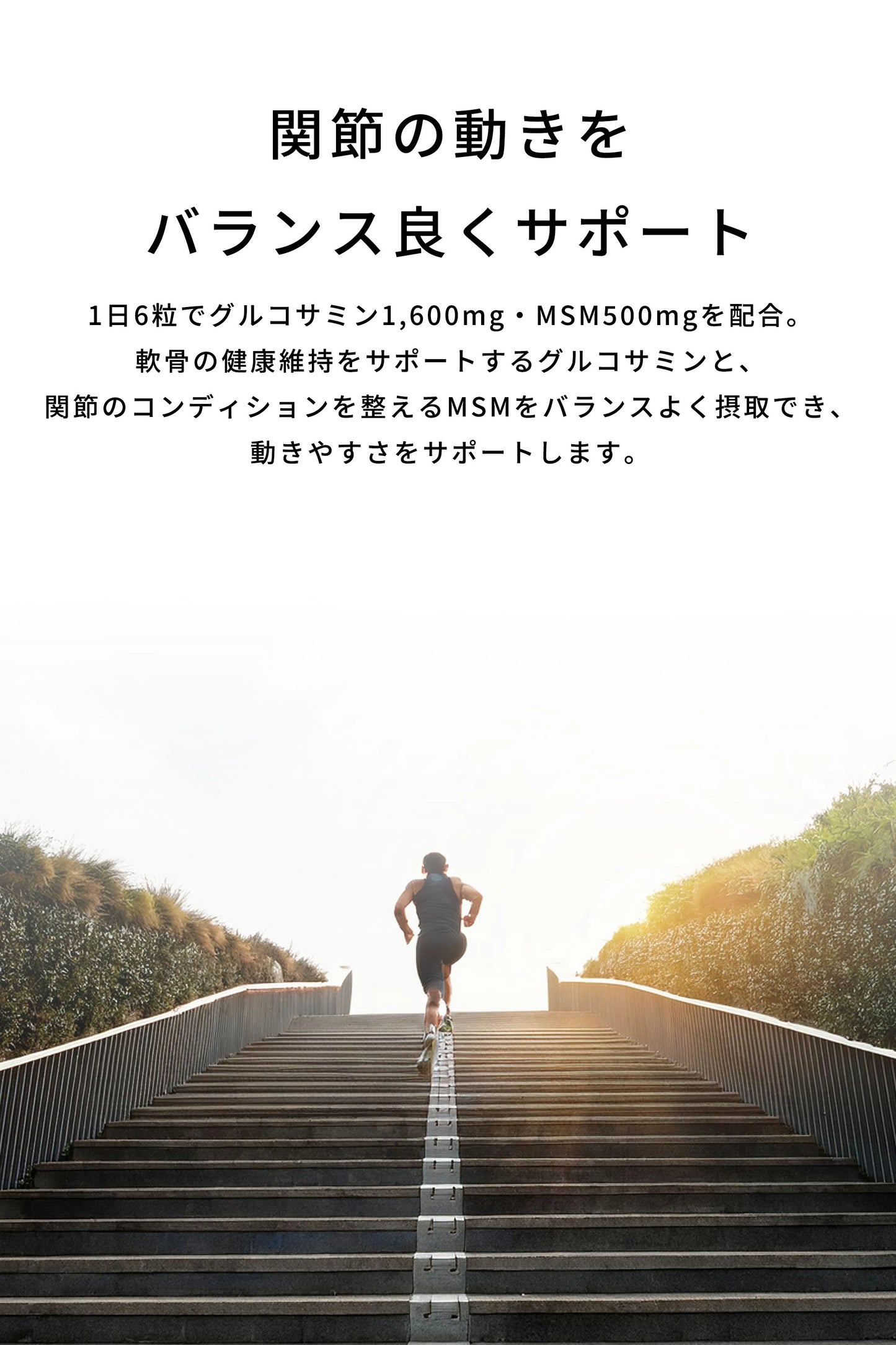 Glucosamine Move Free Plus AISHODO